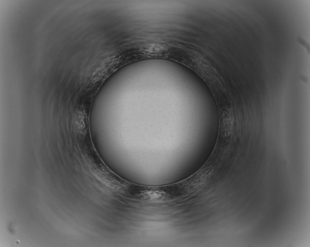 X0000101190654200807110946