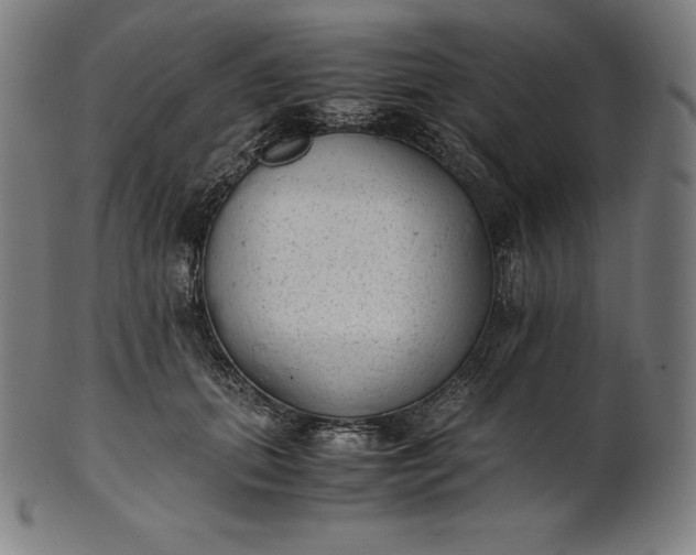 X0000101190655200807110946