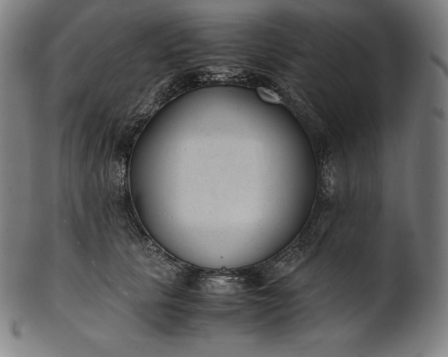X0000101190657200807110946