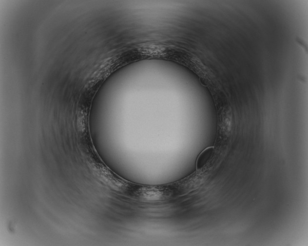 X0000101190658200807110946