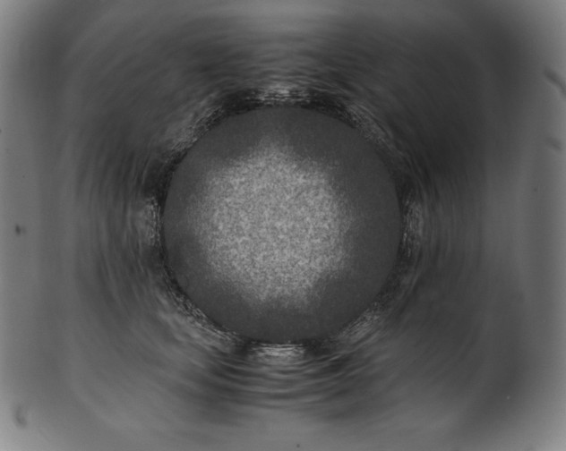 X0000101190659200807110946