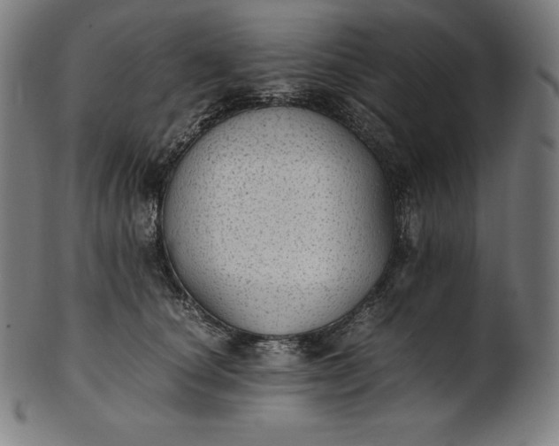 X0000101190660200807110946