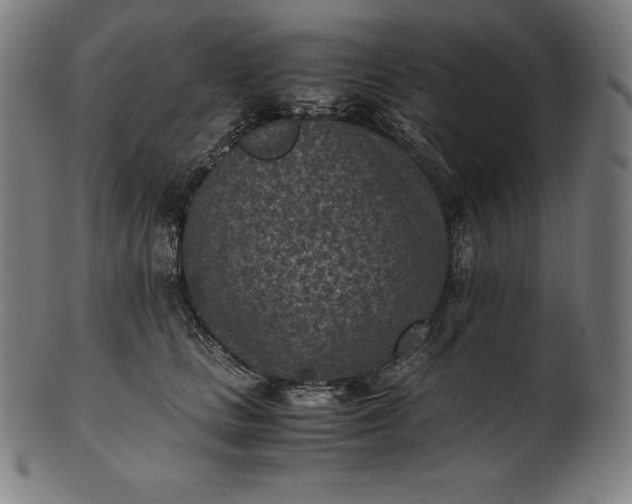 X0000101190661200807110946