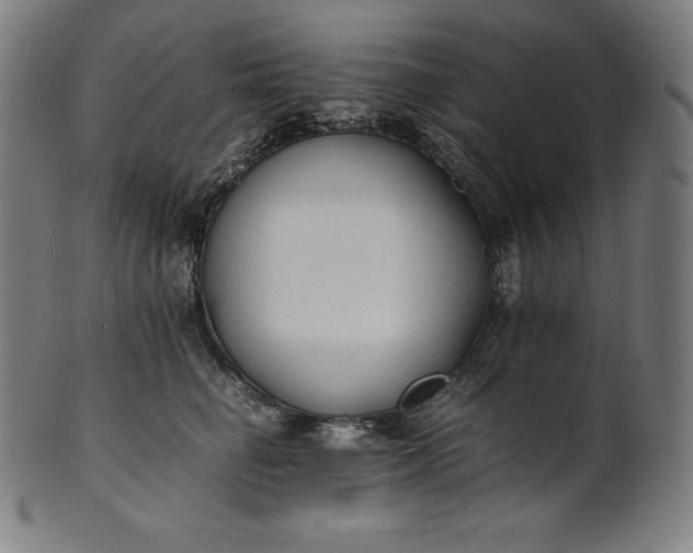 X0000101190662200807110946