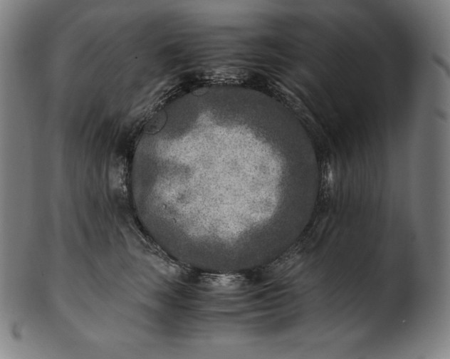 X0000101190663200807110946