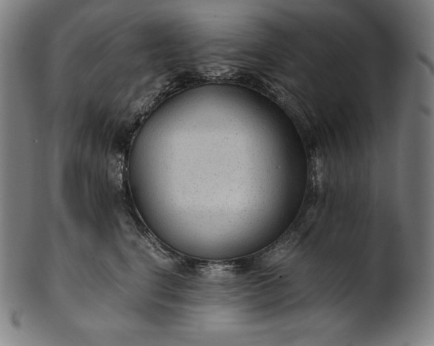 X0000101190664200807110946