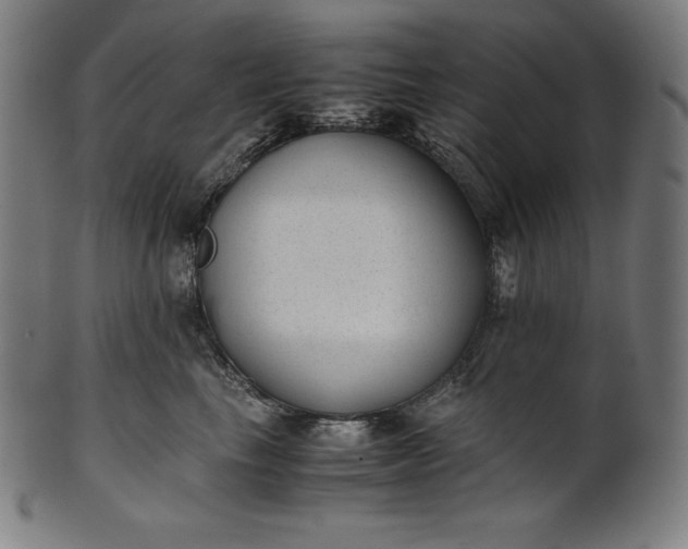 X0000101190665200807110946