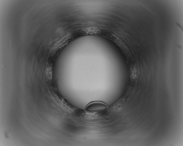 X0000101190666200807110946