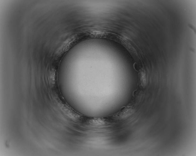 X0000101190668200807110946
