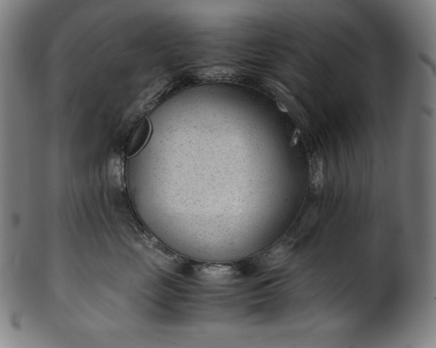 X0000101190669200807110946