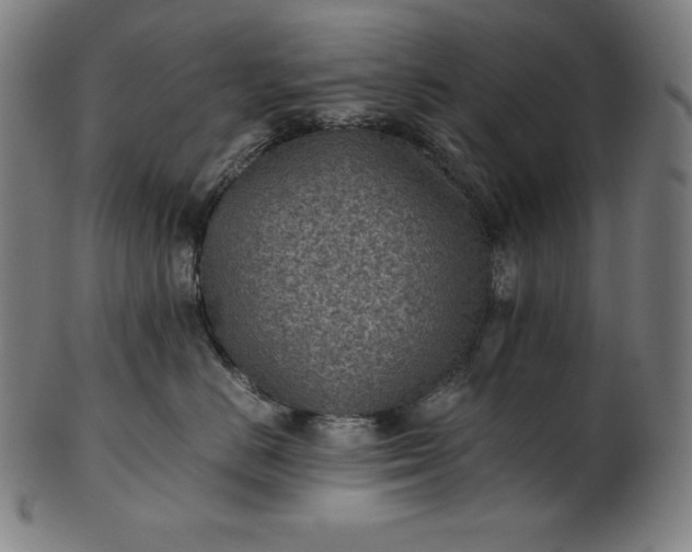 X0000101190670200807110946