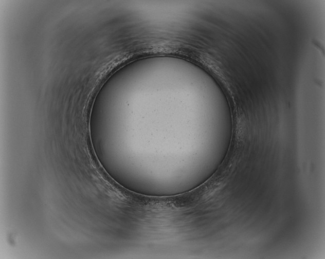 X0000101190673200807110945