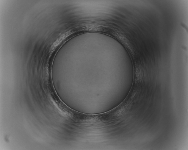 X0000101190674200807110945