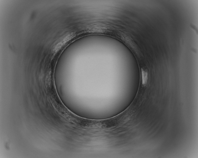 X0000101190675200807110945