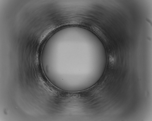 X0000101190676200807110945