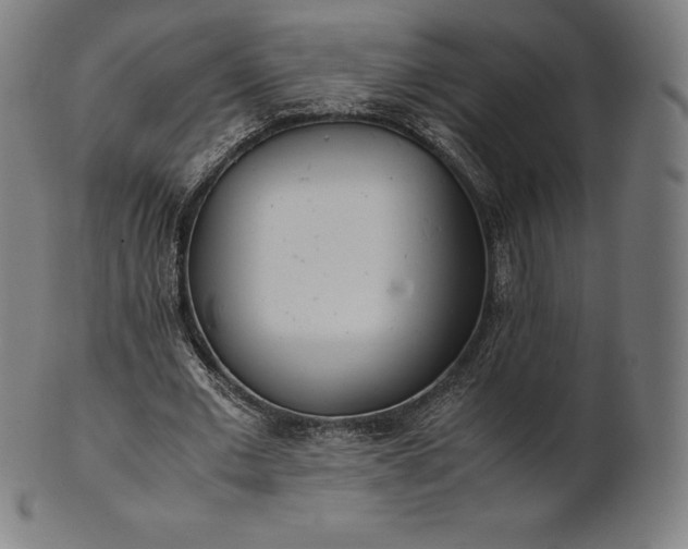 X0000101190677200807110945