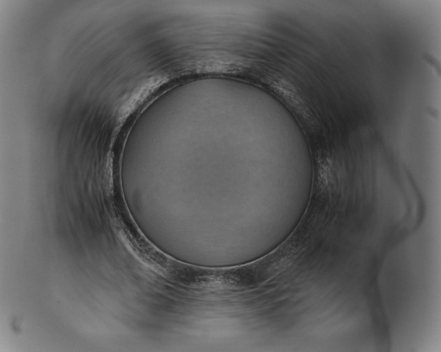 X0000101190678200807110945