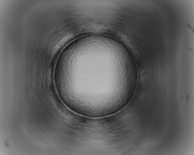 X0000101190679200807110945