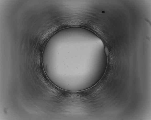 X0000101190681200807110945