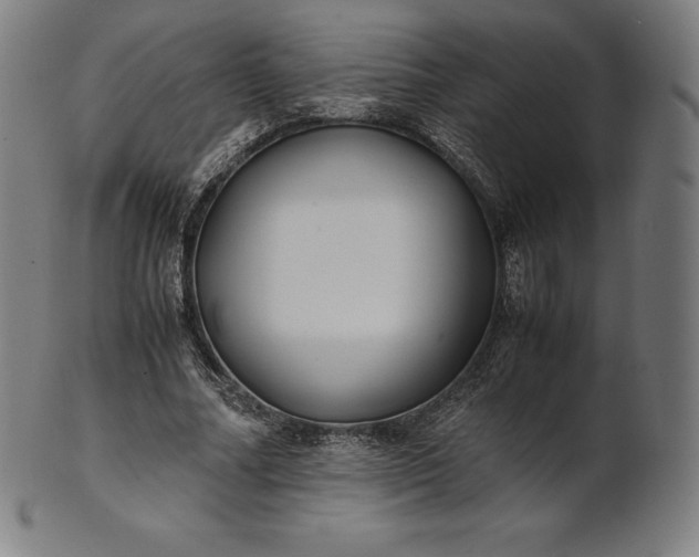 X0000101190682200807110945