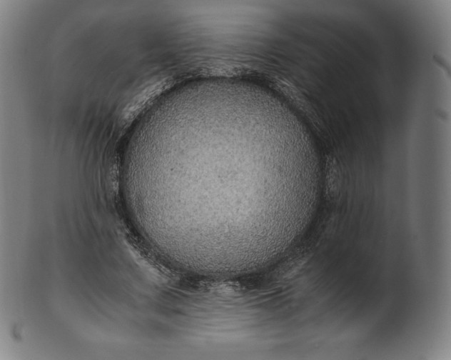 X0000101190683200807110945