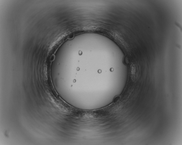 X0000101190684200807110945