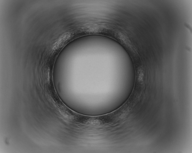 X0000101190685200807110945