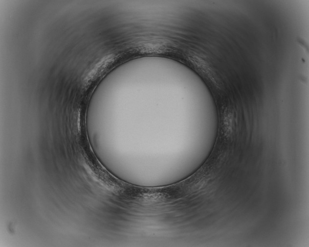 X0000101190686200807110945