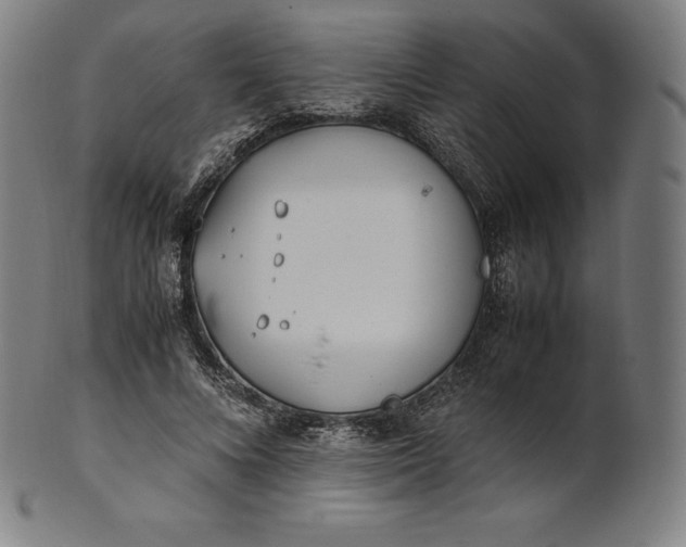X0000101190688200807110945