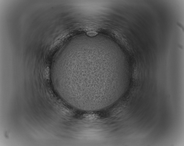 X0000101190689200807110945