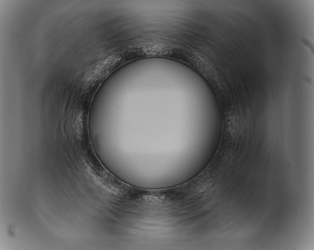 X0000101190690200807110945