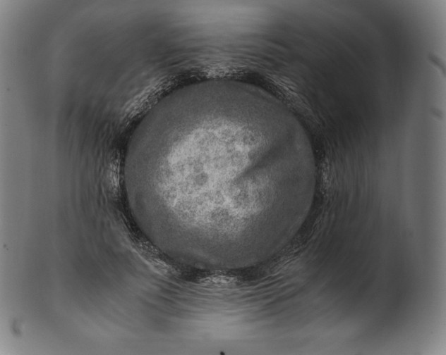 X0000101190691200807110945