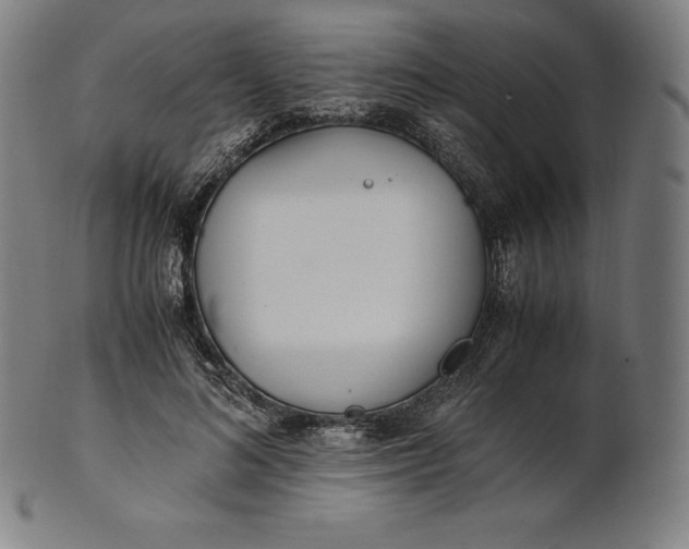 X0000101190692200807110945