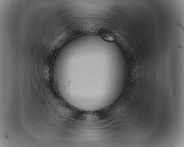 X0000101190693200807110945