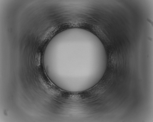 X0000101190694200807110945