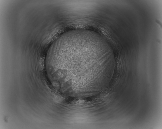 X0000101190695200807110945