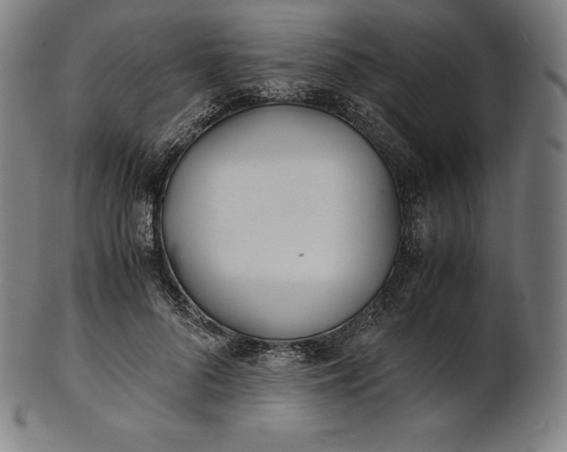 X0000101190696200807110945