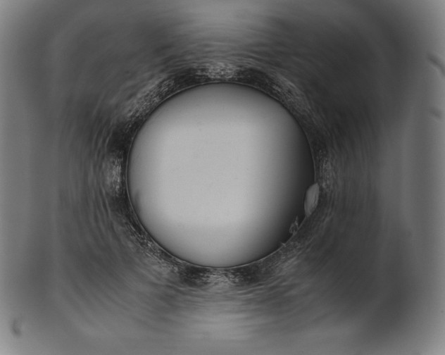 X0000101190697200807110945