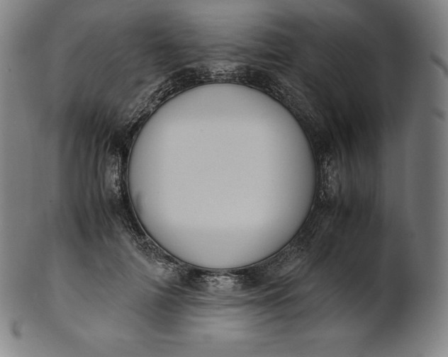 X0000101190698200807110945