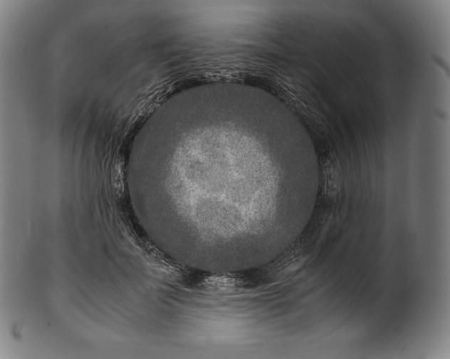 X0000101190699200807110945