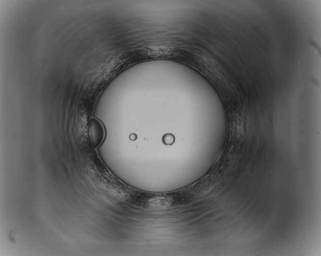 X0000101190700200807110945