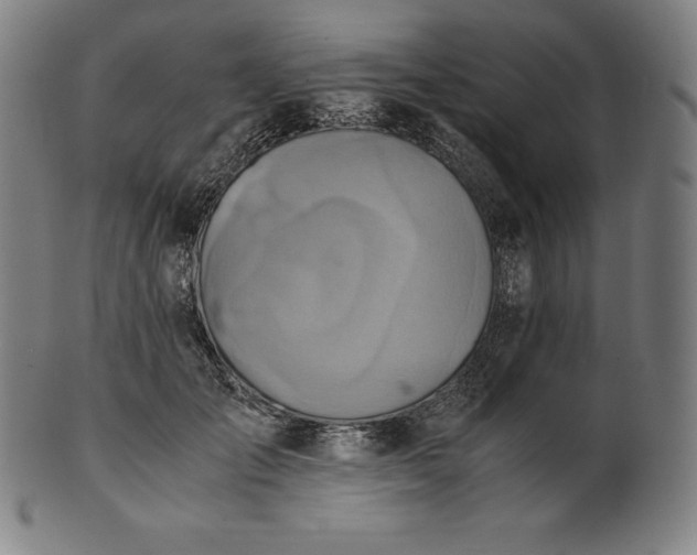 X0000101190701200807110945