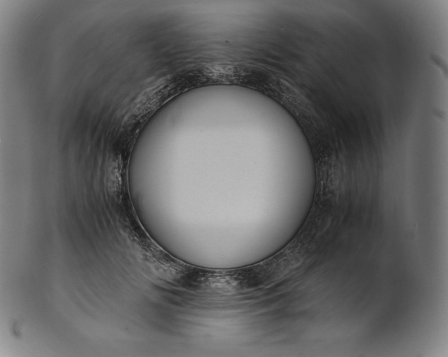 X0000101190702200807110945