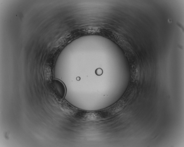 X0000101190704200807110945