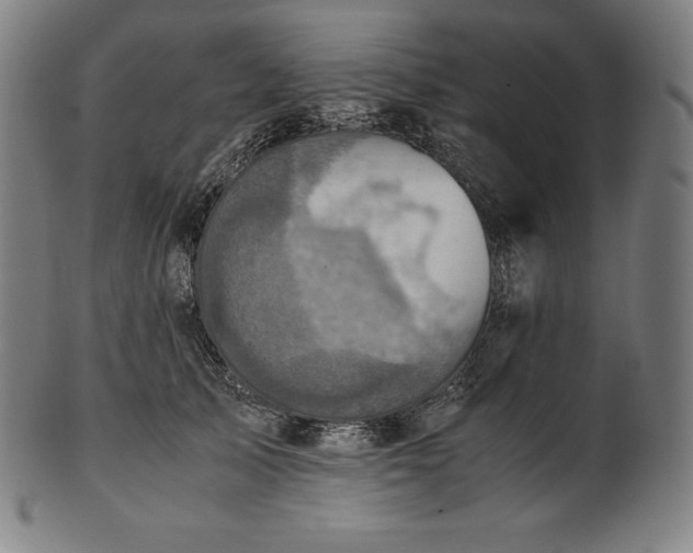 X0000101190705200807110945