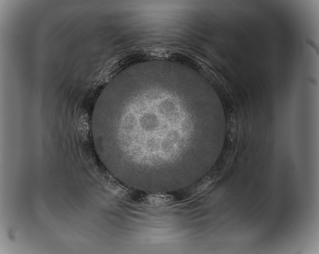 X0000101190707200807110945