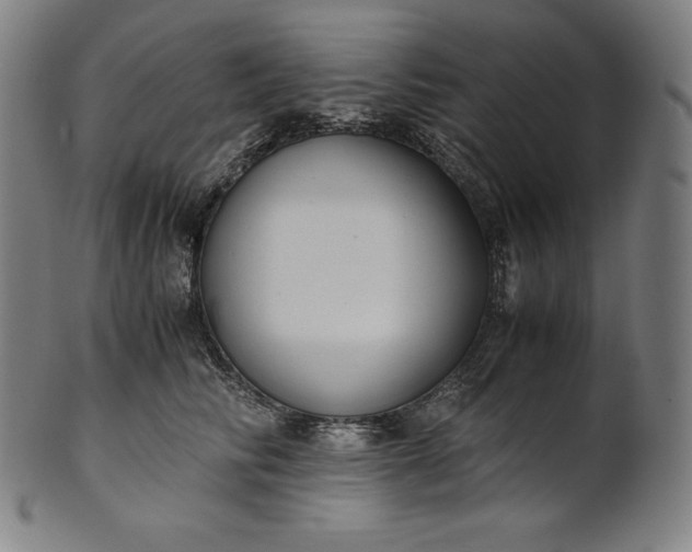 X0000101190710200807110945