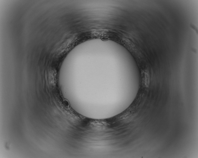 X0000101190712200807110945