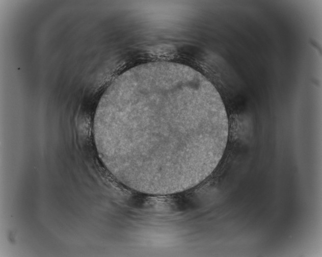 X0000101190713200807110945