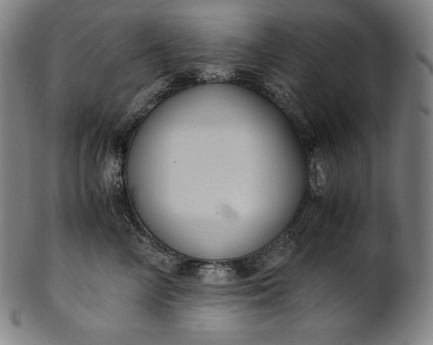 X0000101190714200807110944